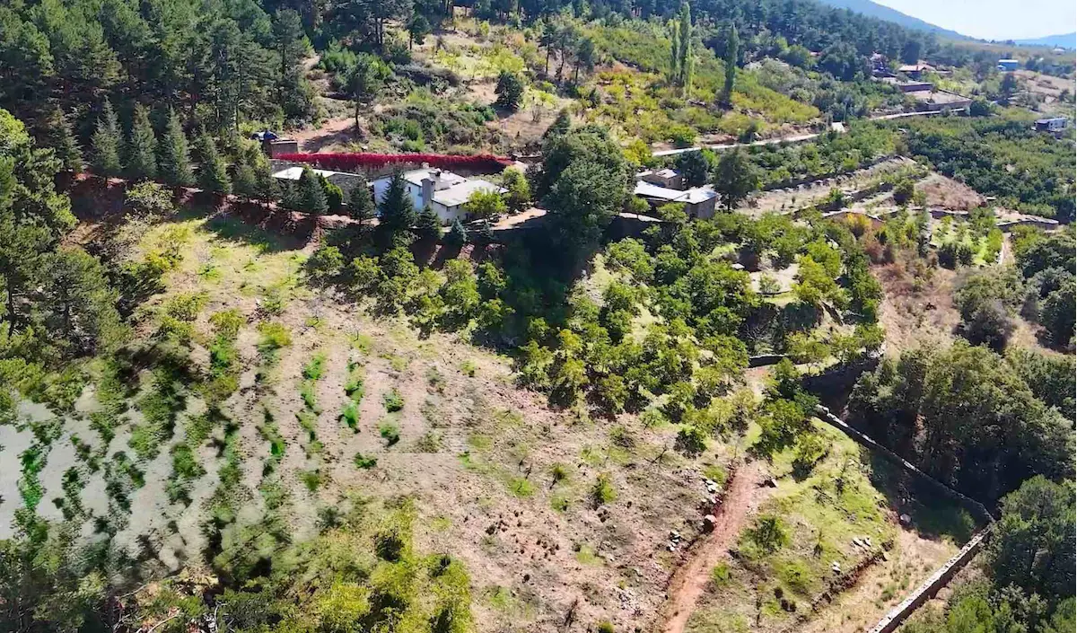 EGE’NIN KALBINDE DOĞA ILE SANATIN BULUŞTUĞU SATILIK ÖZEL ÇIFTLIK