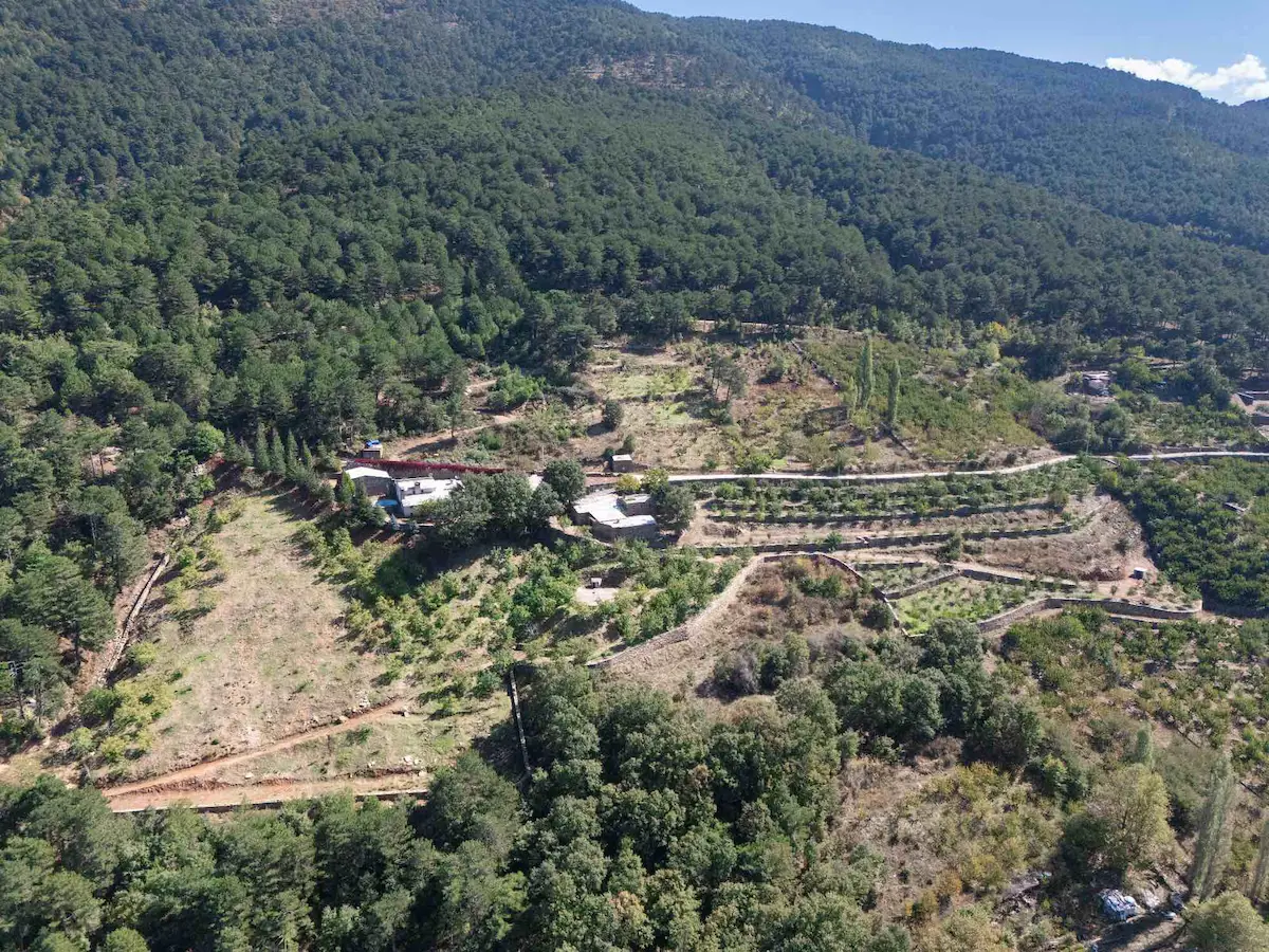 EGE’NIN KALBINDE DOĞA ILE SANATIN BULUŞTUĞU SATILIK ÖZEL ÇIFTLIK 3