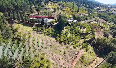 EGE’NIN KALBINDE DOĞA ILE SANATIN BULUŞTUĞU SATILIK ÖZEL ÇIFTLIK