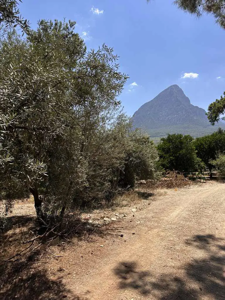 Property image 18