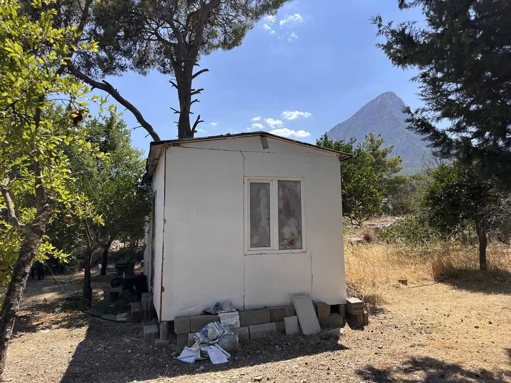 Property image 11