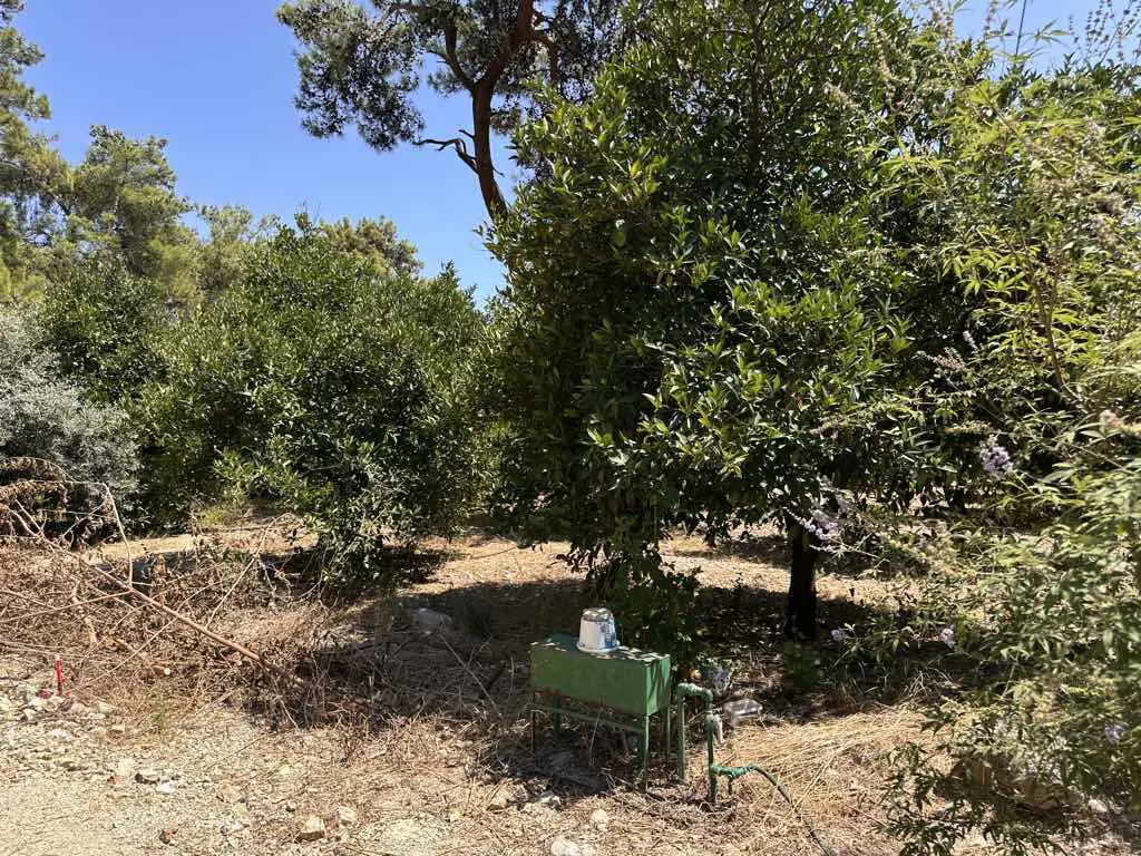 Property image 8
