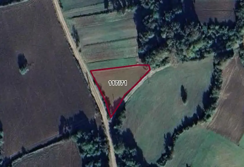 SİNOP TAYPAKLI’DA 1.398 M² YOLA CEPHELİ UYGUN FİYATLI TARLA