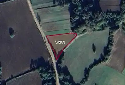 SİNOP TAYPAKLI’DA 1.398 M² YOLA CEPHELİ UYGUN FİYATLI TARLA