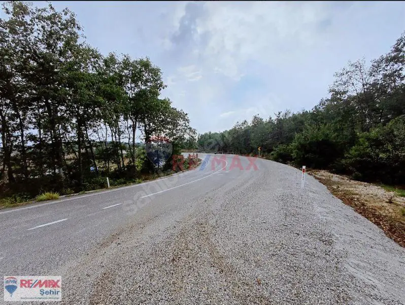 İNEGÖL BAYRAMŞAH'TA SATILIK ASFALT YOLA CEPHE TARLA