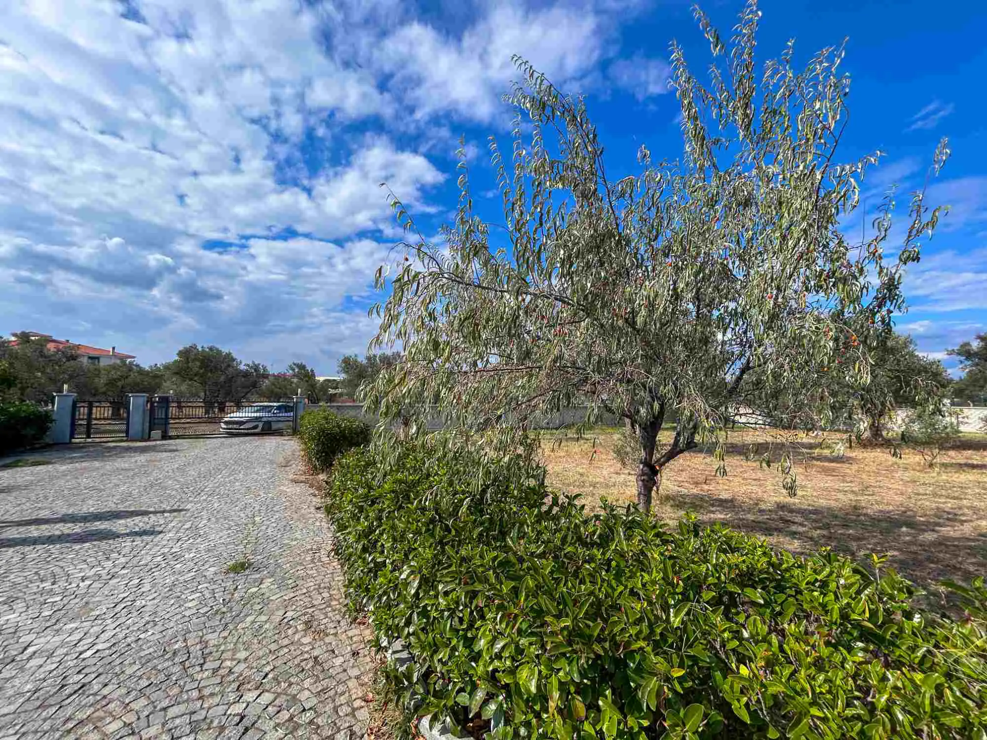 Property image 26