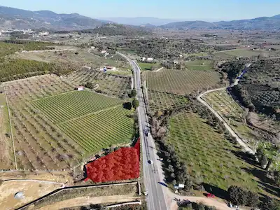KUŞADASI YENİKÖY'DE YOLA CEPHELİ SATILIK 1.275 M² TARLA