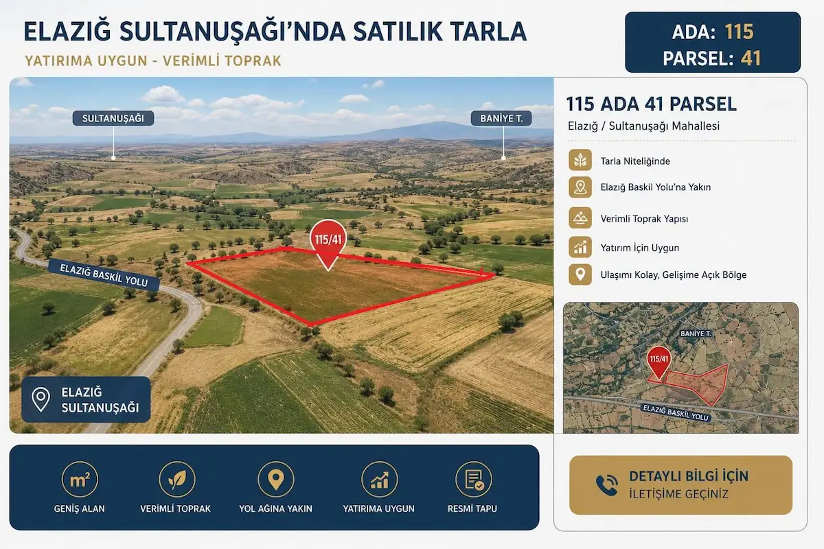 RE/MAX DEĞİŞİM'DEN SULTANUŞAĞI KÖYÜNDE SATLIK SULU TARLA 2.373,61