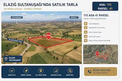 RE/MAX DEĞİŞİM'DEN SULTANUŞAĞI KÖYÜNDE SATLIK SULU TARLA  2.373,61