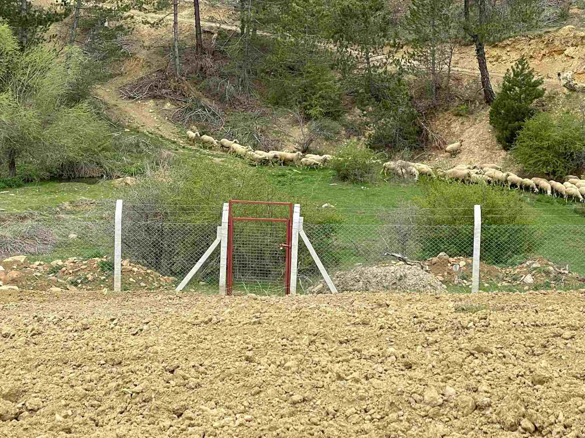 Property image 10