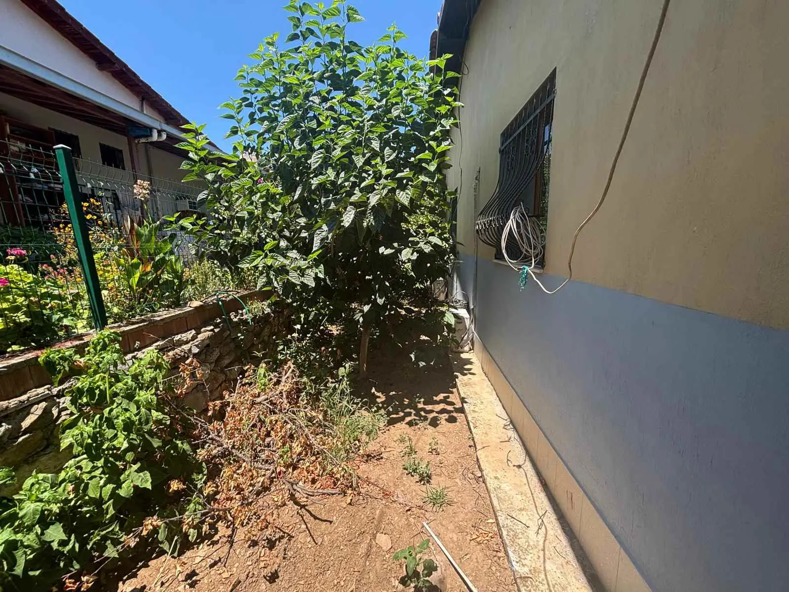 Property image 38