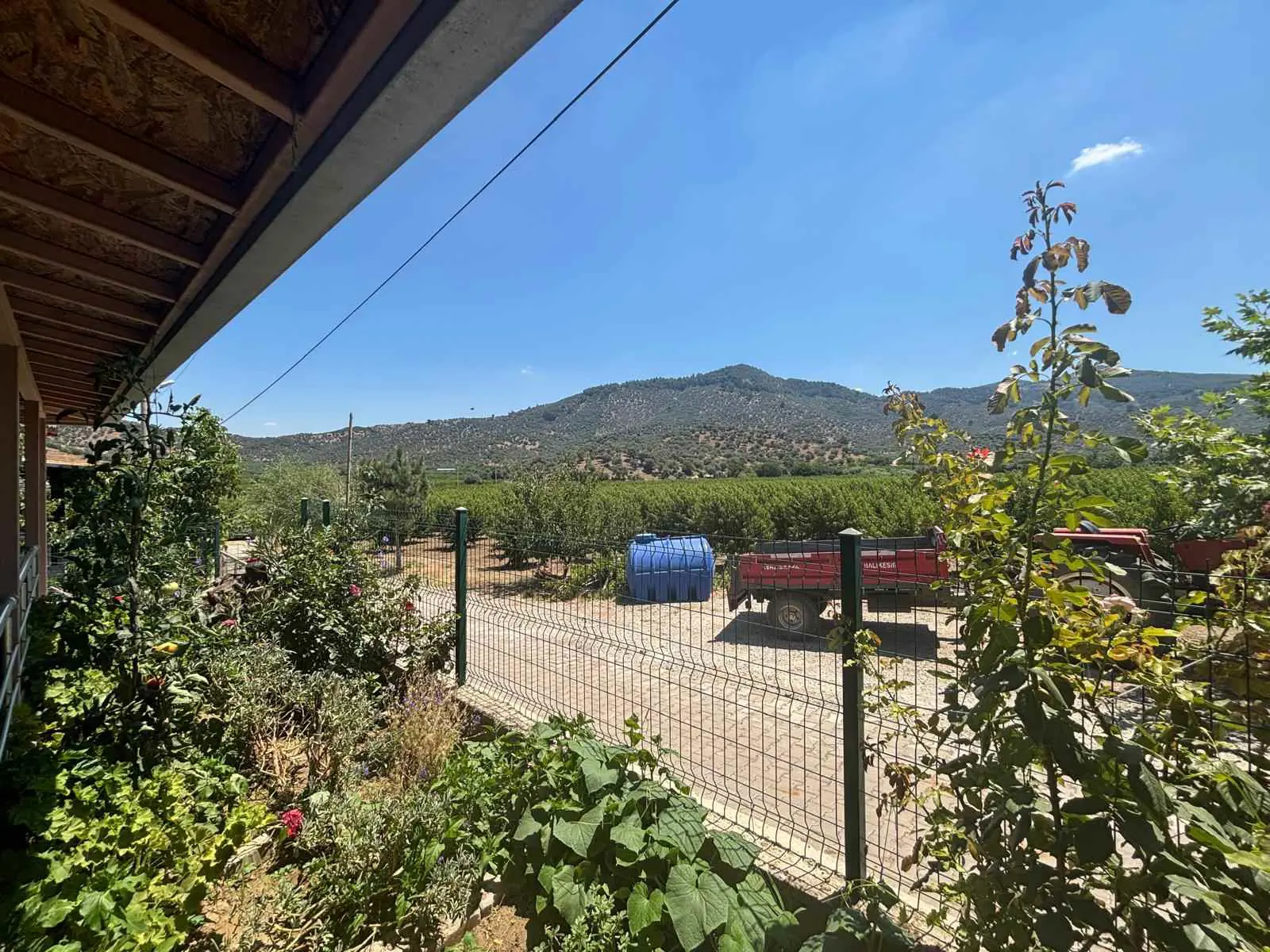 Property image 39
