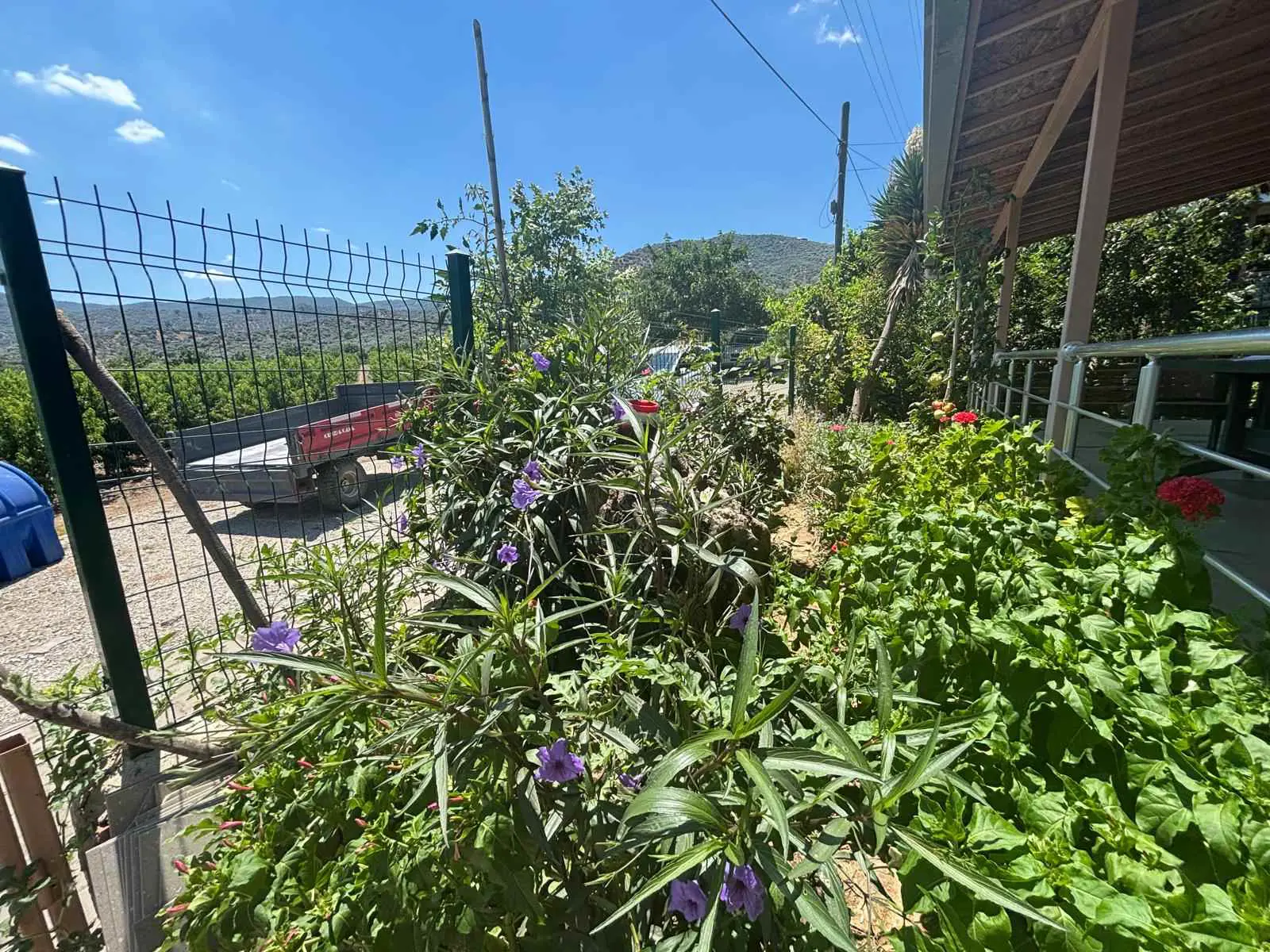 Property image 37