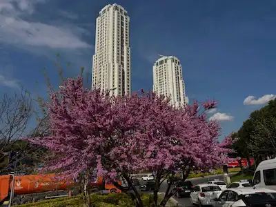 ATAŞEHİR AĞAOĞLU SKY TOWERS' DA EŞYALI KİRALIK 1+1  