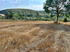 REMAX SONER'DEN KAVAK MEHMETPAŞA'DA İMARA YAKIN SATILIK TARLA