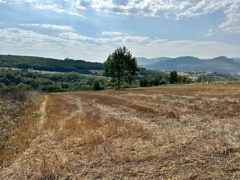 REMAX SONER'DEN KAVAK MEHMETPAŞA'DA İMARA YAKIN SATILIK TARLA