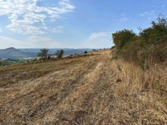 REMAX SONER'DEN KAVAK MEHMETPAŞA'DA İMARA YAKIN SATILIK TARLA