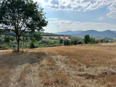 REMAX SONER'DEN KAVAK MEHMETPAŞA'DA İMARA YAKIN SATILIK TARLA