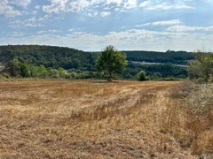 REMAX SONER'DEN KAVAK MEHMETPAŞA'DA İMARA YAKIN SATILIK TARLA