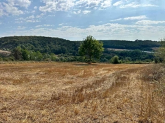 REMAX SONER'DEN KAVAK MEHMETPAŞA'DA İMARA YAKIN SATILIK TARLA