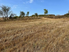 REMAX SONER'DEN KAVAK MEHMETPAŞA'DA İMARA YAKIN SATILIK TARLA