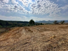 REMAX SONER'DEN KAVAK MEHMETPAŞA'DA İMARA YAKIN SATILIK TARLA