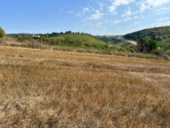 REMAX SONER'DEN KAVAK MEHMETPAŞA'DA İMARA YAKIN SATILIK TARLA