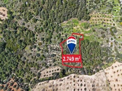 DATÇA SATILIK TARLA MANZARALI  TINY HOUSE UYGUN YOLU VAR SINDI MAHALLESİNDE