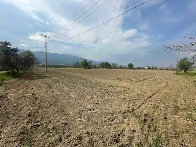 TİRE İHSANİYE’DE ANA YOLA CEPHELİ 32.303 M² SATILIK TARLA