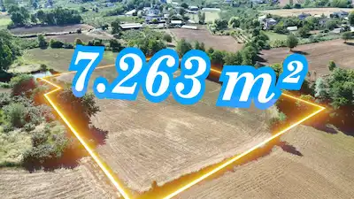 MURAT OCAKTAR 'DAN 7263 M² VERİMLİ TARLA | TOPCU MH.