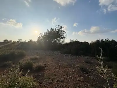 ANTALYA AKSU TOPALLI’DA SATILIK ARSA