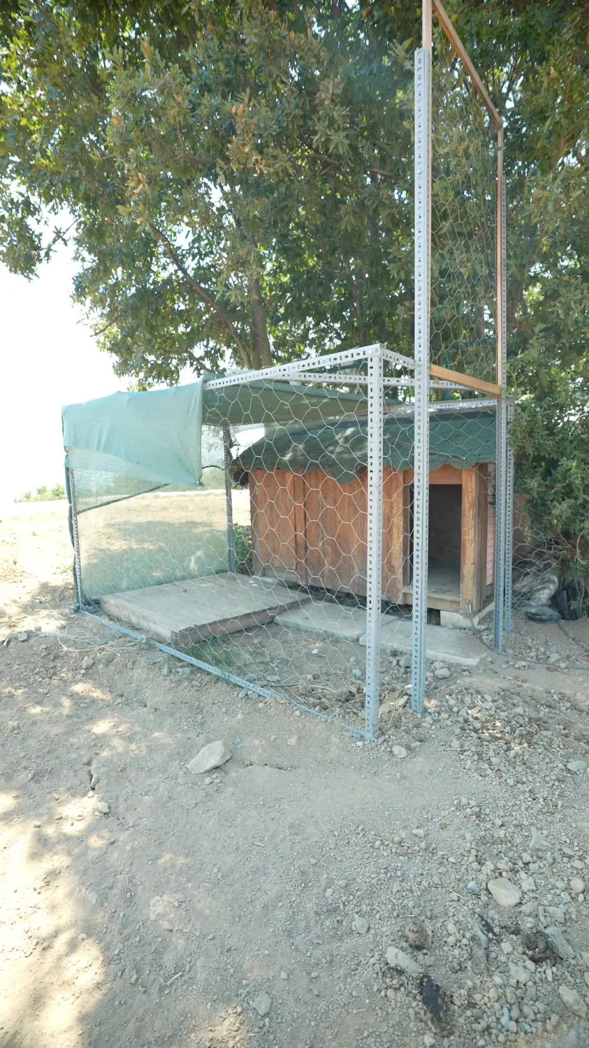 Property image 11
