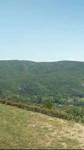 YALOVA ALTINOVA’DA TAŞ EVLI MEYVE BAHÇELI 15 DÖNÜM ARAZI