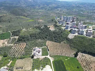 KUŞADASINDA MERKEZE YAKIN 29.544 M2 SATILIK ZEYTİNLİK