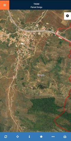 MUĞLA MİLAS PINARCIK'DA KADASTRAL YOLU OLAN UYGUN FİYATLI ZEYTİNLİK