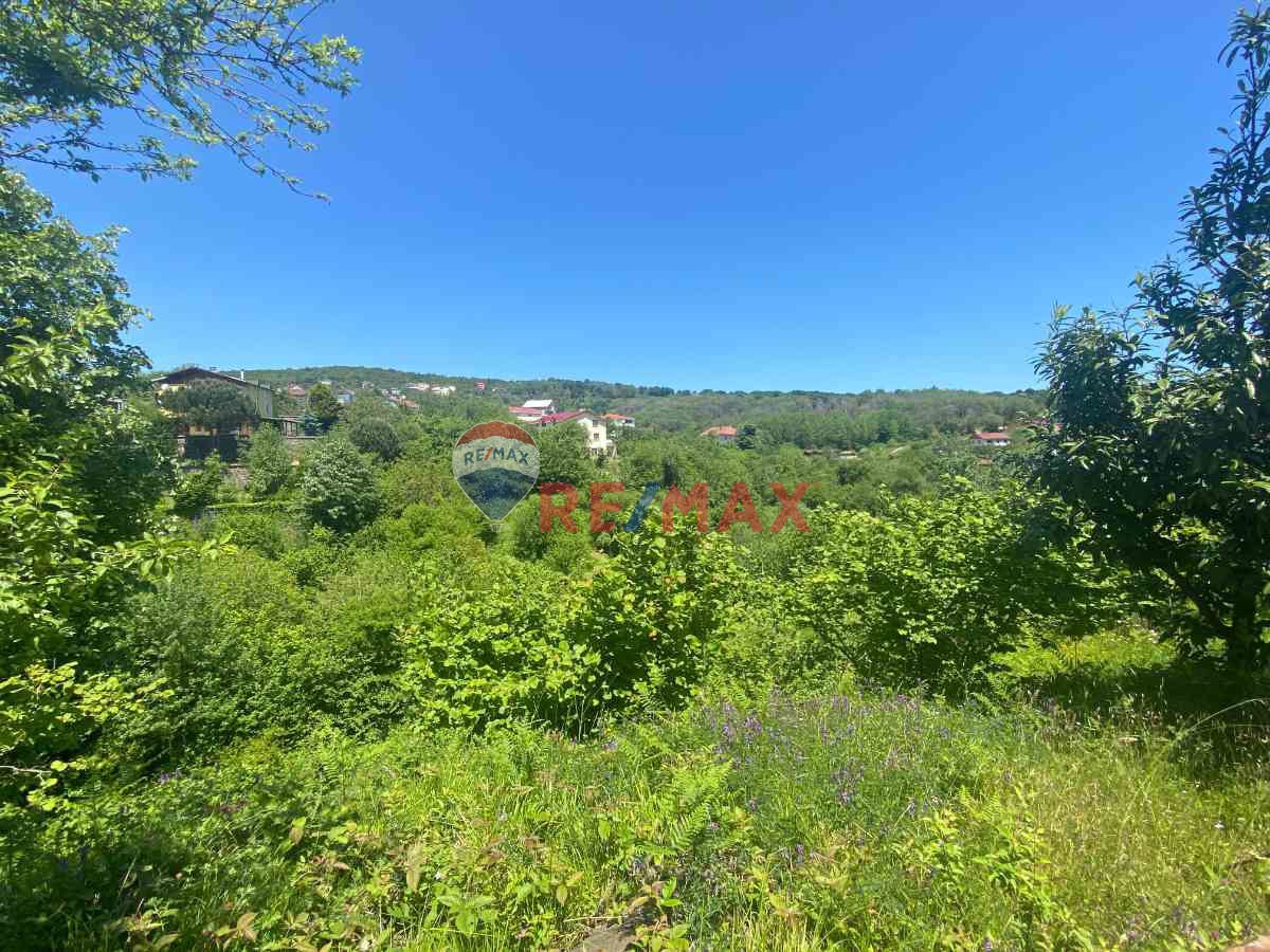 ASHILL'DEN BEYKOZ ÖRNEKKÖY' DE İMARLI ARSA