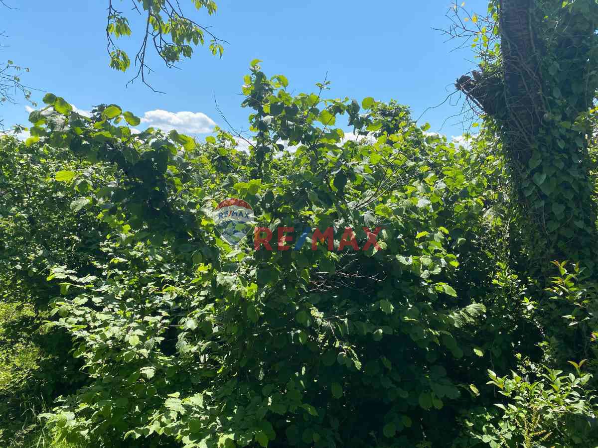 ASHILL'DEN BEYKOZ ÖRNEKKÖY' DE İMARLI ARSA