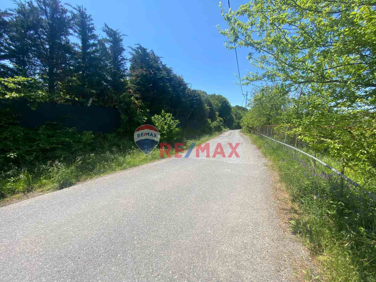 ASHILL'DEN BEYKOZ ÖRNEKKÖY' DE İMARLI ARSA