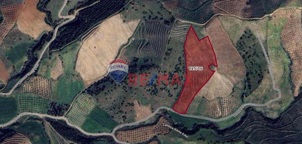 ÖDEMİŞ ÇAMLICA 16.192 M2 SATILIK TARLA
