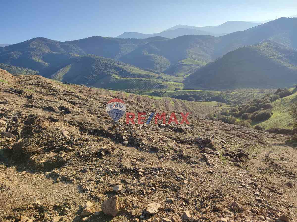 ÖDEMİŞ ÇAMLICA 16.192 M2 SATILIK TARLA