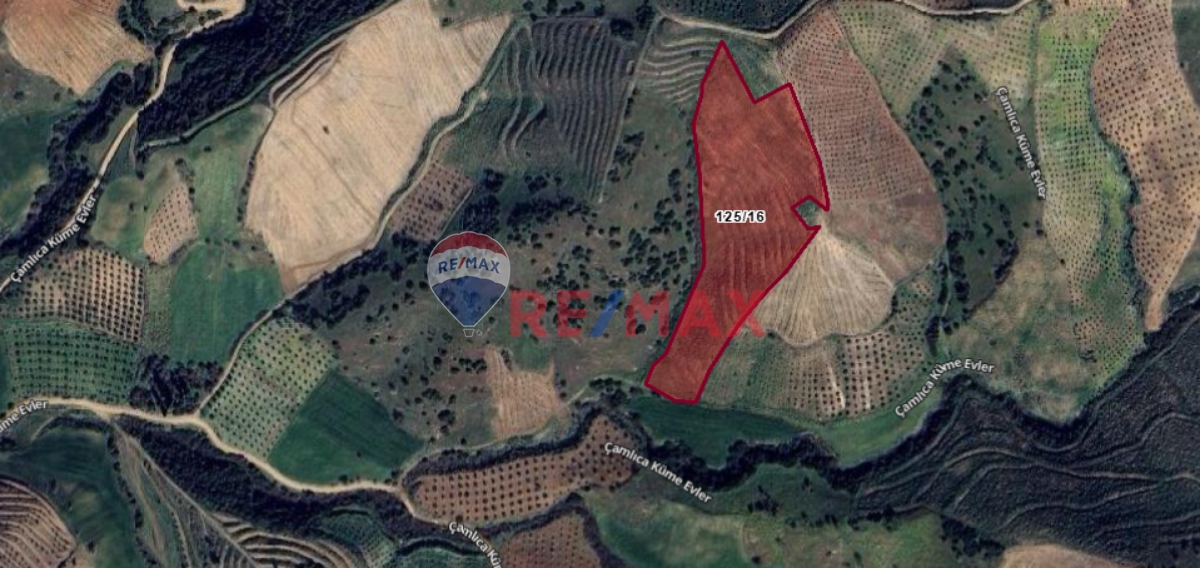ÖDEMİŞ ÇAMLICA 16.192 M2 SATILIK TARLA