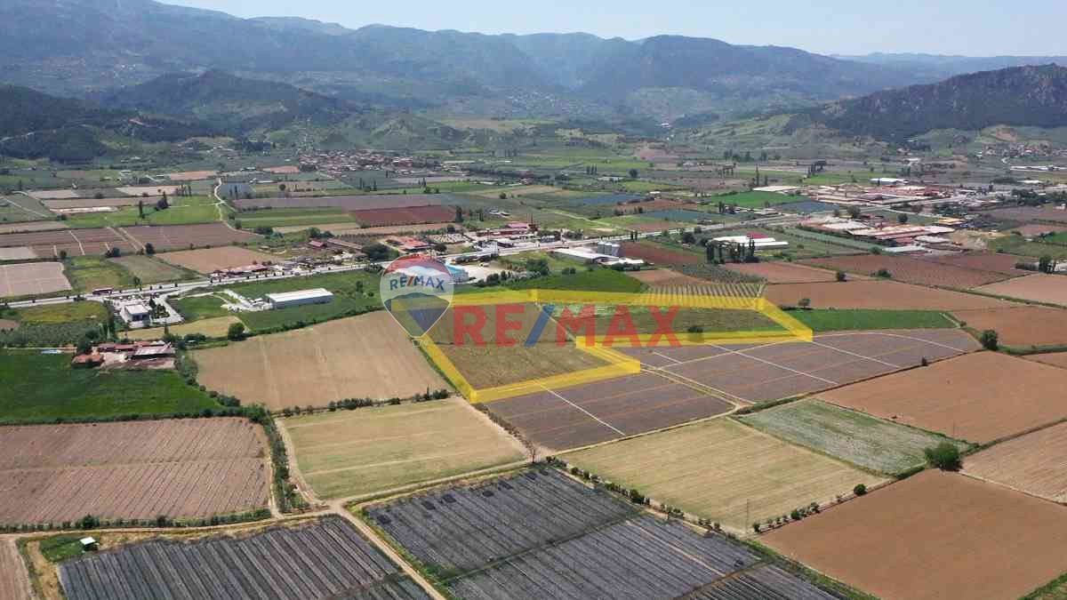 MANISA SALIHLI CAFERBEY 48 DÖNÜM SATILIK INCIR BAHÇESI