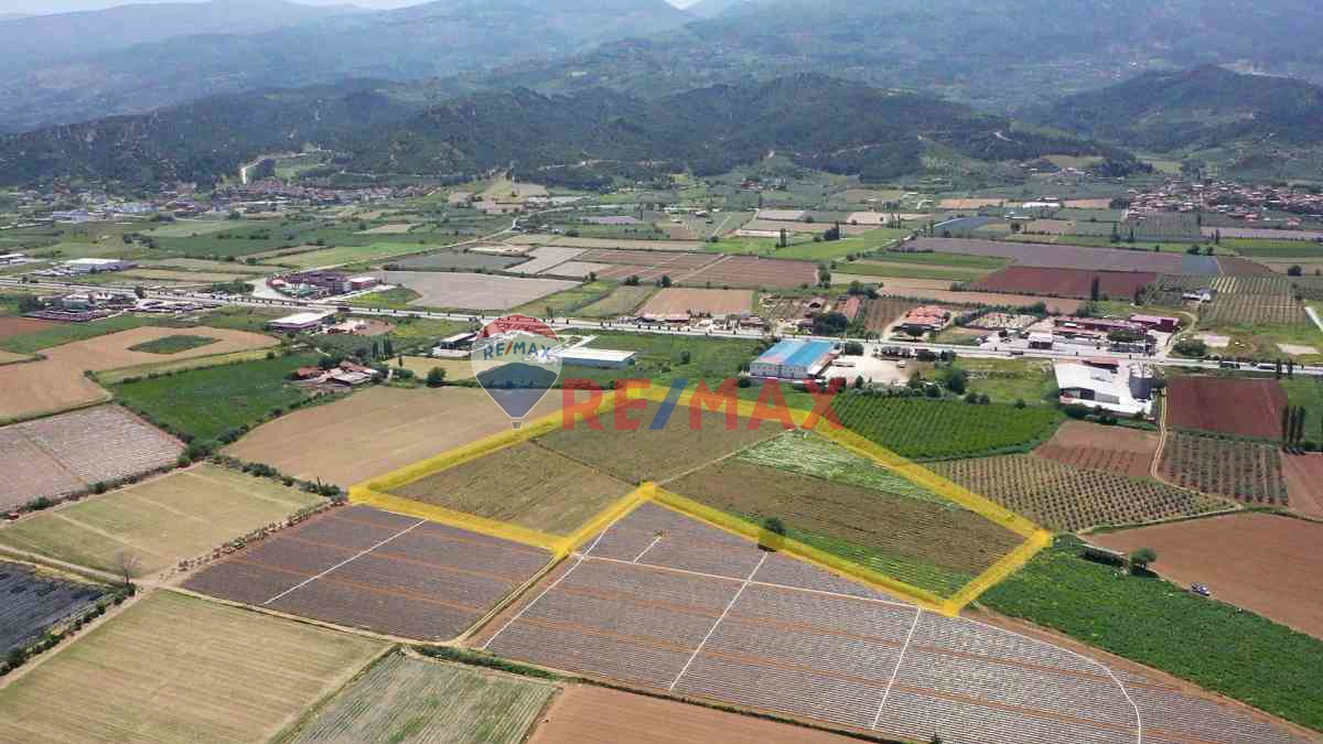 MANISA SALIHLI CAFERBEY 48 DÖNÜM SATILIK INCIR BAHÇESI
