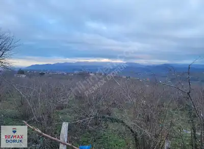 BURHANETTİN MAHALLESİ'NDE SATILIK KÖŞE PARSEL | 5000 M²