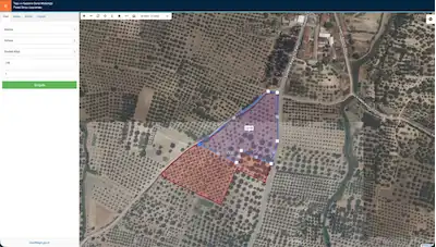 MANİSA AKHİSAR SİNDELLİ DE 13150 M2 ZEYTIİNLİK