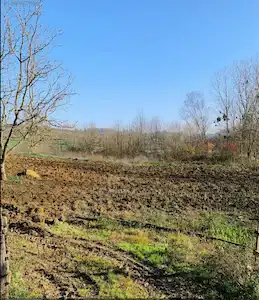 RE/MAX MAVİ KAYNARCA KAYACIKTA ANA YOLA YAKIN 803 M² ARAZİ