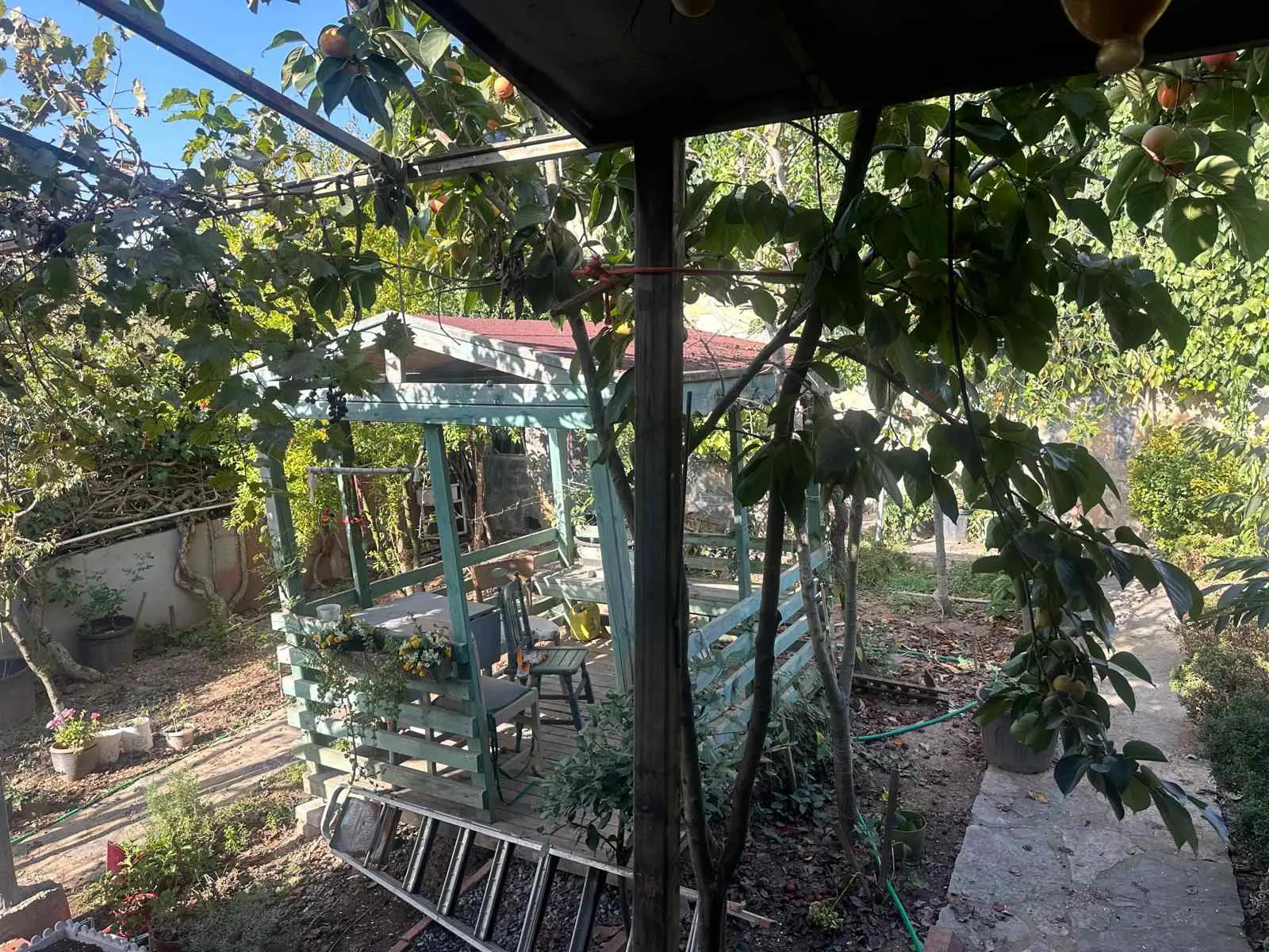 Property image 23