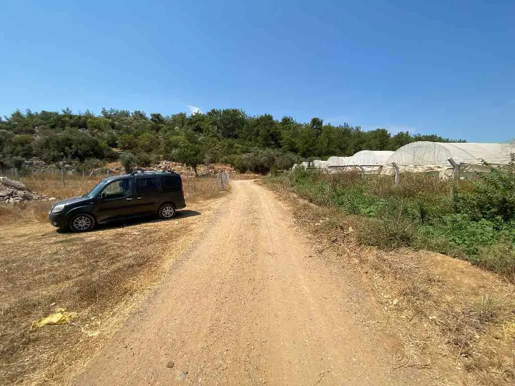 Property image 10