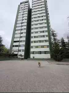 ÜMİTKÖY ÇINAR SİTESİ ÖN CEPHE BÜYÜK TİP KİRALIK DAİRE