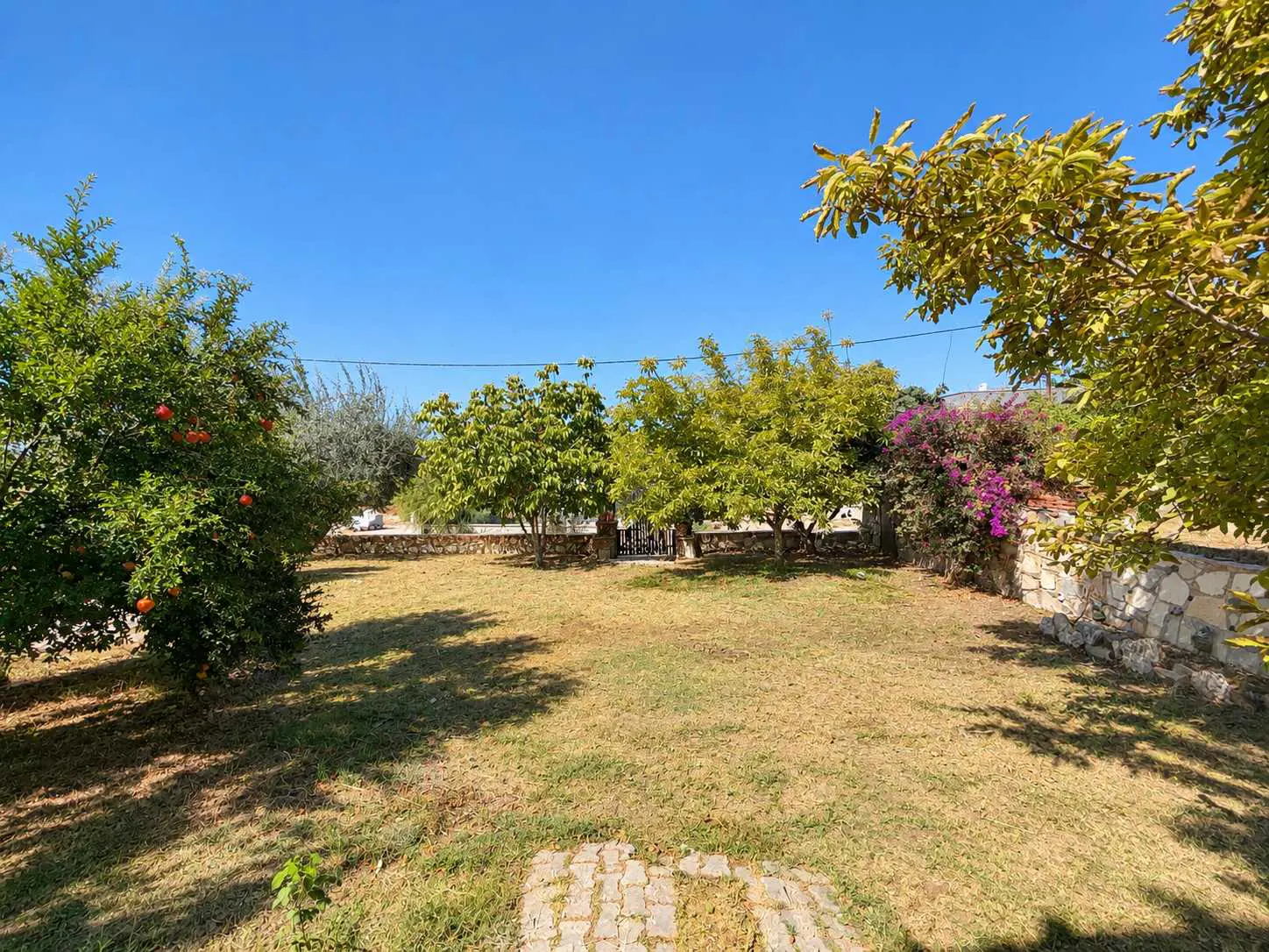 Property image 28